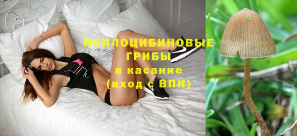 мескалин Абинск