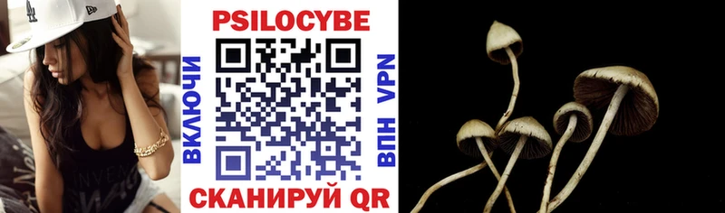 Псилоцибиновые грибы Psilocybe  Тарко-Сале 
