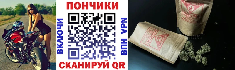 Конопля планчик Тарко-Сале